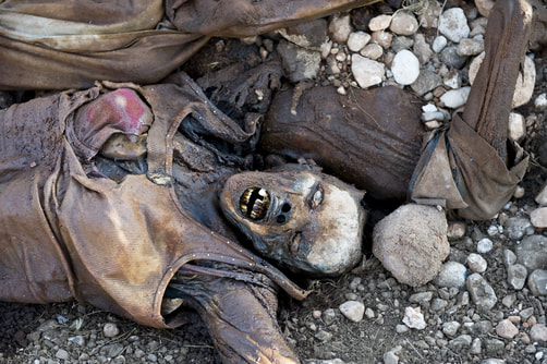 2010 Haiti Earthquake: Rotting Corpse